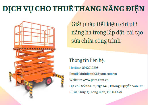 Cho thuê thang nâng điện